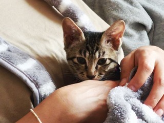 2021-08-04 12.17.12.jpg