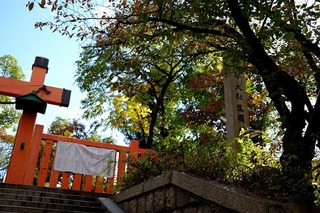 2021-11-07 14.39.12.jpg