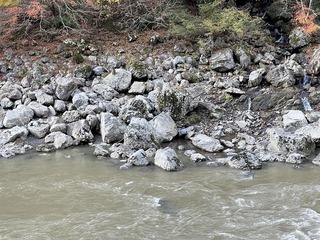 2021-12-01 09.46.31.jpg