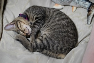 20210821_122002000_iOS 1.jpg