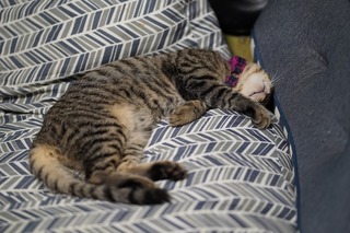 20210828_134538000_iOS 1.jpg