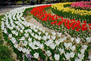 2022-04-10 13.15.09-1.jpg