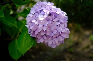2022-06-19 15.04.39.jpg