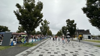 2022-10-10 14.08.11.jpg