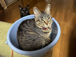 20221005_114605467_iOS 1.jpg