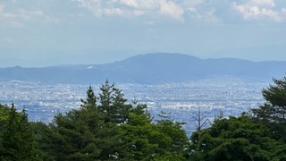 2024-06-07 13.36.24.jpg
