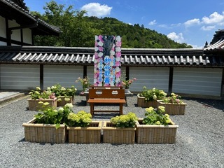 2024-06-12 12.51.50.jpg