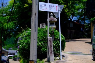 2024-06-19 12.16.31.jpg