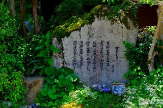2024-06-19 12.31.19.jpg