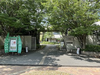 2024-07-31 14.38.28.jpg