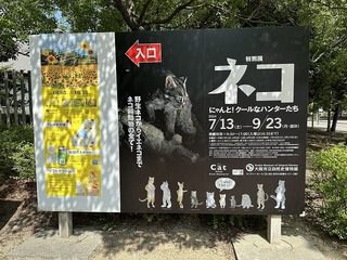 2024-07-31 14.38.39.jpg