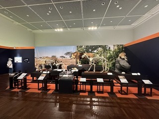 2024-07-31 15.46.47.jpg