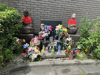 2024-08-21 10.59.10.jpg