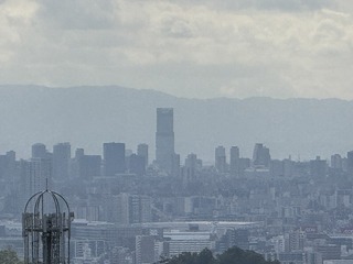 2024-10-30 12.08.02.jpg