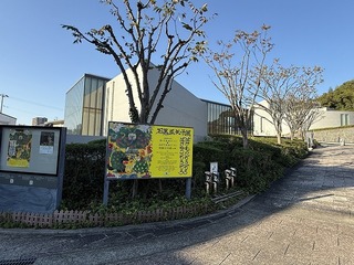 2024-11-13 14.57.47.jpg