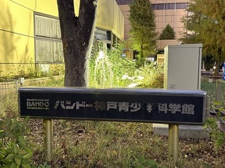 2024-11-30 17.07.03.jpg