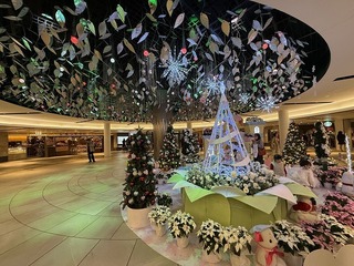 2024-12-04 13.24.43.jpg