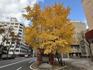 2024-12-04 13.52.56.jpg