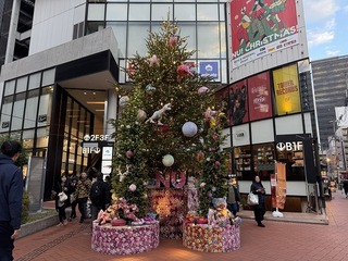 2024-12-04 16.12.36.jpg