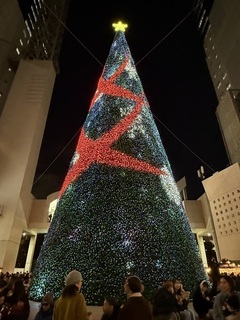 2024-12-04 17.41.18.jpg