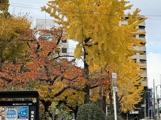 2024-12-08 13.54.14.jpg