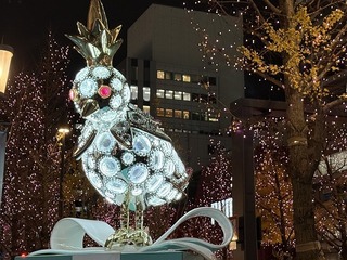 2024-12-25 18.05.55.jpg
