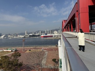 2025-01-22 11.02.19.jpg