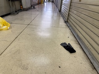 2025-01-29 13.47.01.jpg