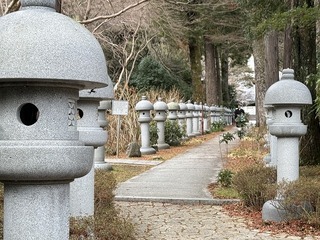 2025-02-02 15.25.15.jpg