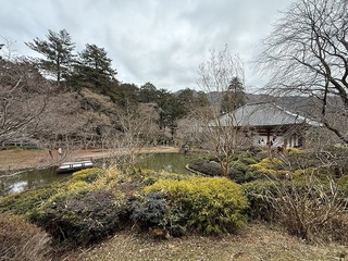 2025-02-02 15.39.43.jpg