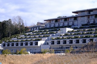 2025-02-11 12.48.51.jpg