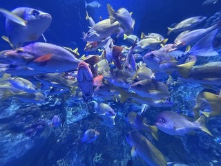 2025-02-12 14.10.05.jpg