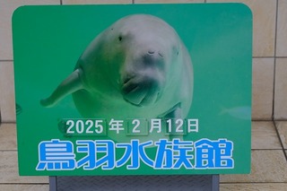 2025-02-12 14.20.49.jpg