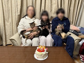 2025-03-03 23.11.53.jpg