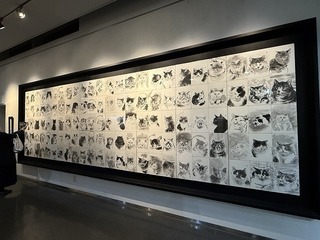 2025-03-16 14.32.19.jpg