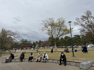 2025-04-02 15.03.14.jpg