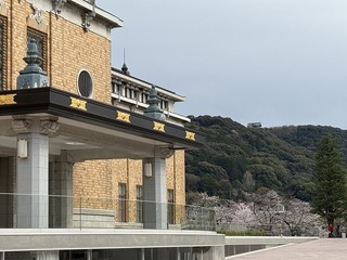 2025-04-02 15.05.19.jpg