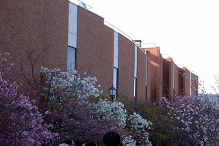 2025-04-09 16.09.19.jpg
