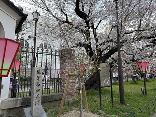 2025-04-09 16.46.24.jpg