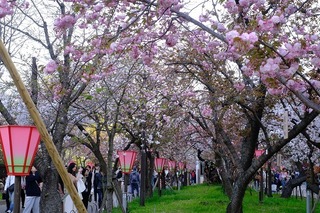 2025-04-09 16.50.21.jpg