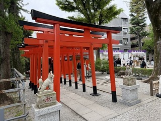 2025-04-20 10.53.39.jpg