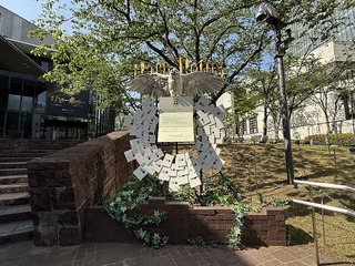 2025-04-21 14.43.06.jpg