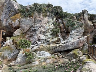 2025-04-22 12.23.10.jpg