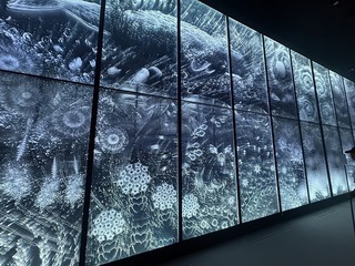 20250709_084718934_iOS.jpg