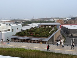 20250709_094257976_iOS.jpg