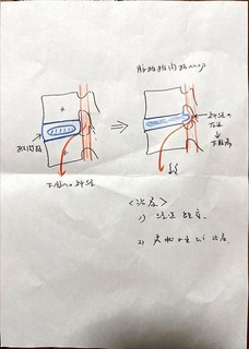 20250716_145902223_iOS.jpg