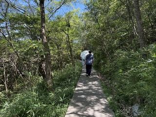 20250721_050025298_iOS.jpg