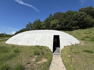 20250721_052825831_iOS.jpg
