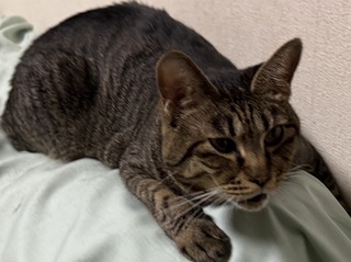 20251011_140550997_iOS 1.jpg