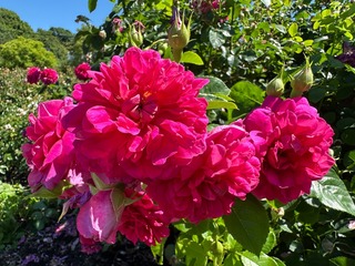 219B04B4-097C-4A47-951A-E2840658DD58.jpeg